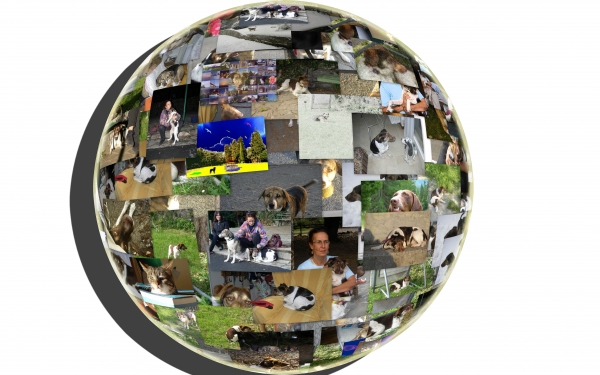 Creation of i and my dogs: Step 2